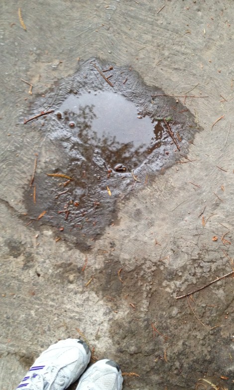 IMG_0410 I (charquito) you