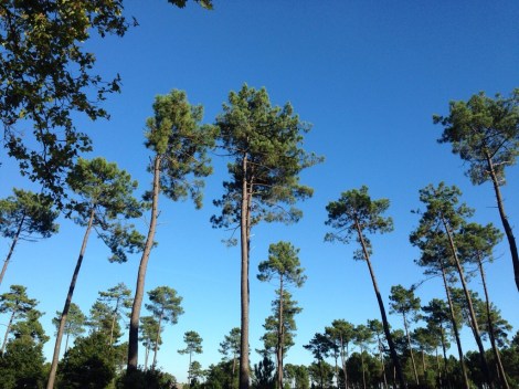 20130924-011513 p.m..jpg