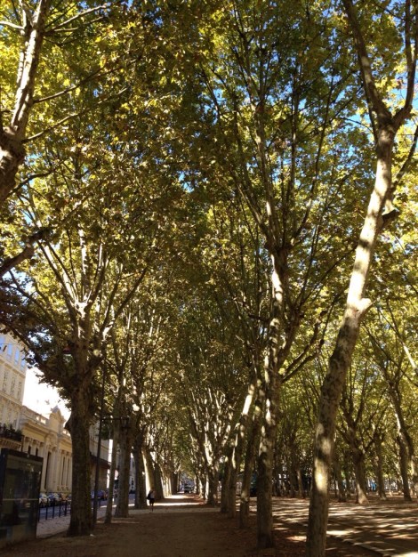 20130924-094010 a.m..jpg